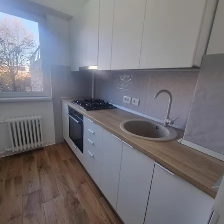 Luxury Downtown Calea Victoriei Apartment