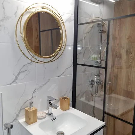 Luxury Downtown Calea Victoriei Apartment *